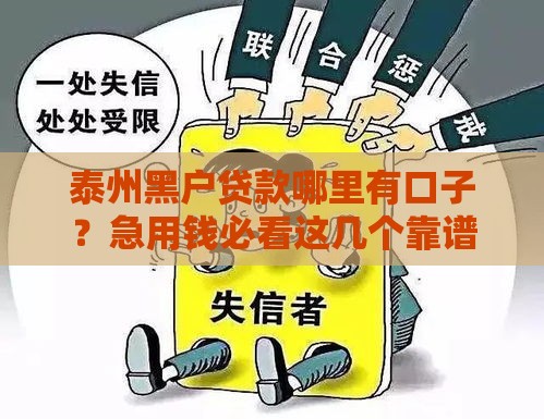 泰州黑户贷款哪里有口子？急用钱必看这几个靠谱渠道推荐
