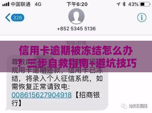 信用卡逾期被冻结怎么办？三步自救指南+避坑技巧