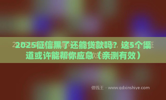 2025征信黑了还能贷款吗？这5个渠道或许能帮你应急（亲测有效）