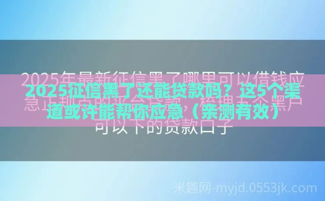 2025征信黑了还能贷款吗？这5个渠道或许能帮你应急（亲测有效）