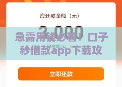 急需用钱必看！口子秒借款app下载攻略，快速到账不踩坑！