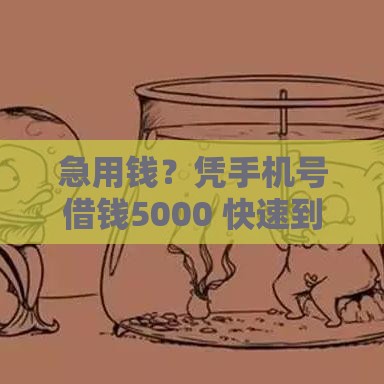 急用钱？凭手机号借钱5000 快速到账无抵押！