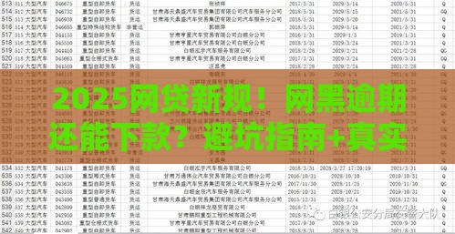 2025网贷新规！网黑逾期还能下款？避坑指南+真实渠道解析