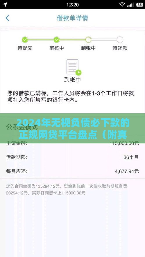 2024年无视负债必下款的正规网贷平台盘点（附真实评测）