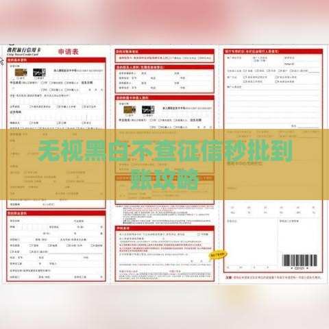无视黑白不查征信秒批到账攻略