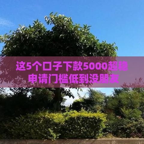 这5个口子下款5000超稳 申请门槛低到没朋友