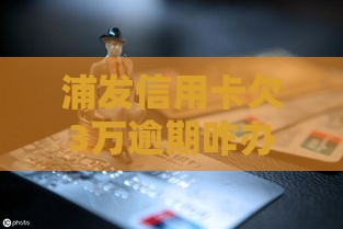 浦发信用卡欠3万逾期咋办？这5招教你快速止损！