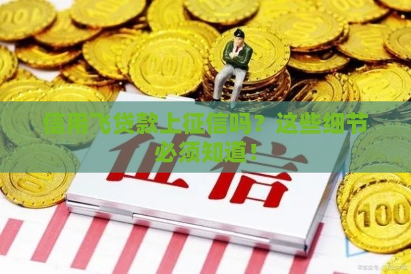 信用飞贷款上征信吗？这些细节必须知道！