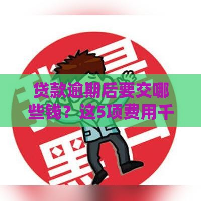 贷款逾期后要交哪些钱？这5项费用千万别忽视！