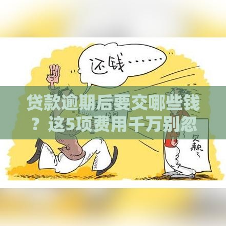 贷款逾期后要交哪些钱？这5项费用千万别忽视！