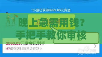 晚上急需用钱？手把手教你审核靠谱网贷口子，避开这些坑！