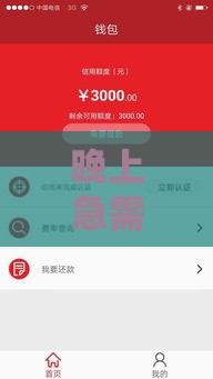 晚上急需用钱？手把手教你审核靠谱网贷口子，避开这些坑！