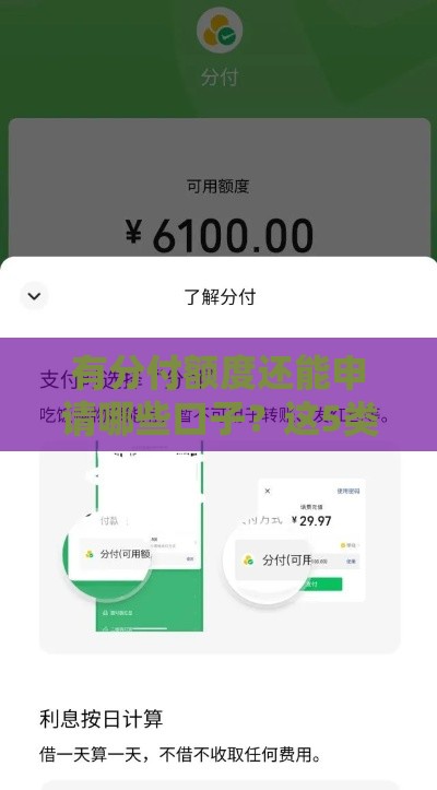 有分付额度还能申请哪些口子？这5类平台千万别错过！