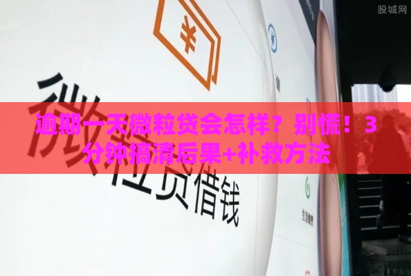逾期一天微粒贷会怎样？别慌！3分钟搞清后果+补救方法