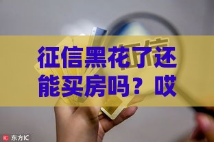 征信黑花了还能买房吗？哎，全款还是硬着头皮贷款？