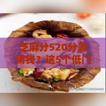 芝麻分520分急用钱？这5个低门槛平台轻松解决！