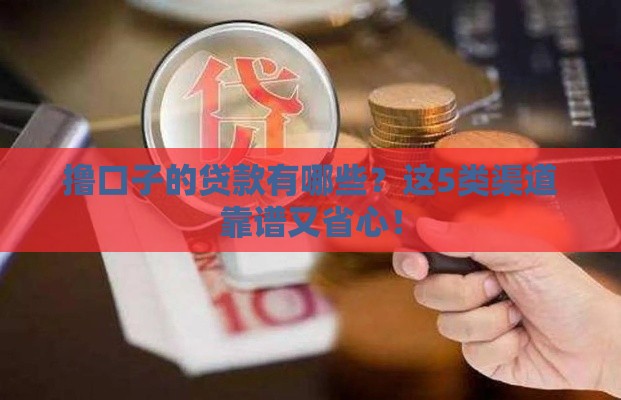 撸口子的贷款有哪些？这5类渠道靠谱又省心！
