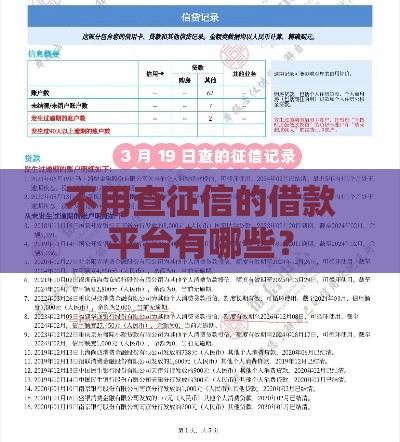 不用查征信的借款平台有哪些？