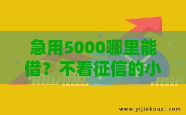 急用5000哪里能借？不看征信的小额贷款渠道盘点