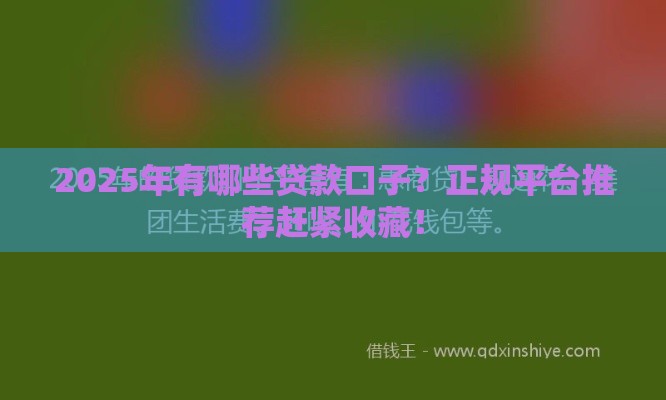 2025年有哪些贷款口子？正规平台推荐赶紧收藏！