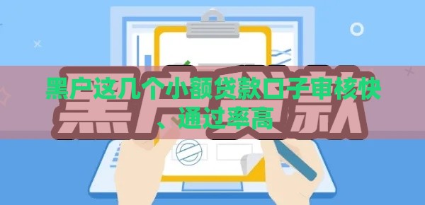 黑户这几个小额贷款口子审核快、通过率高