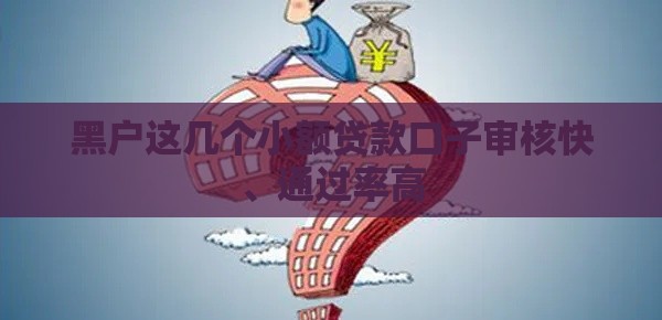 黑户这几个小额贷款口子审核快、通过率高