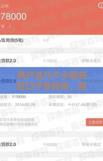 黑户这几个小额贷款口子审核快、通过率高