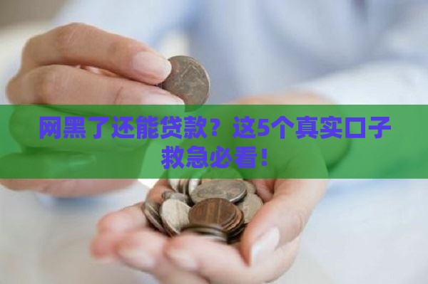 网黑了还能贷款？这5个真实口子救急必看！