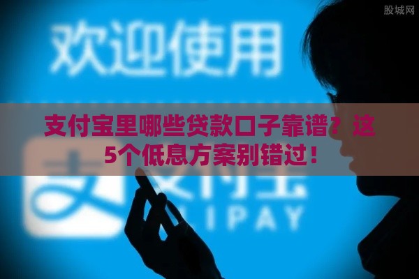 支付宝里哪些贷款口子靠谱？这5个低息方案别错过！