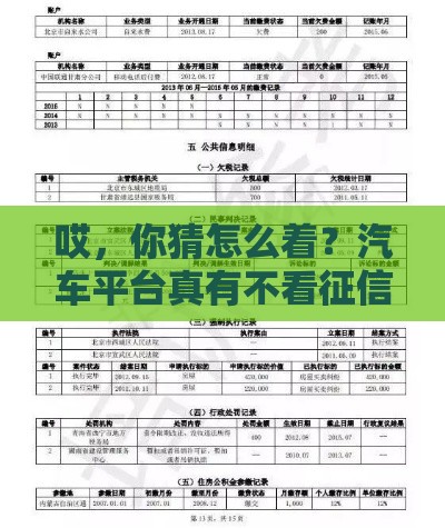 哎，你猜怎么着？汽车平台真有不看征信的贷款！