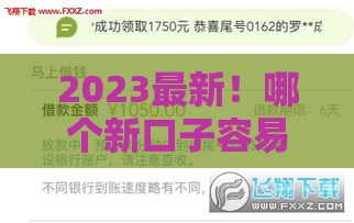 2023最新！哪个新口子容易下款？这5个平台审核快、门槛低