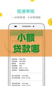 小额贷款哪里最可靠？急用1000元直接到账的渠道这样选！