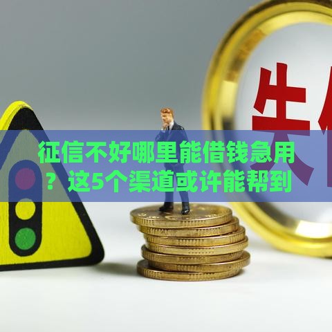 征信不好哪里能借钱急用？这5个渠道或许能帮到你！