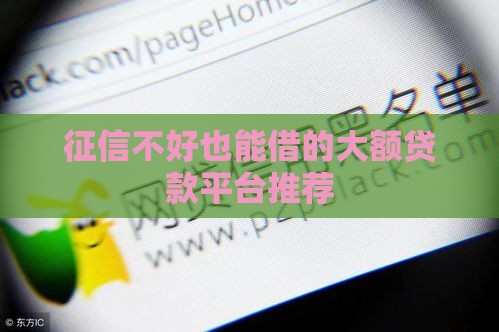 征信不好也能借的大额贷款平台推荐