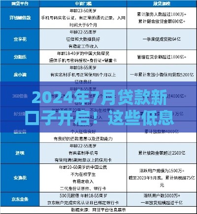 2024年7月贷款新口子开启！这些低息方案别错过