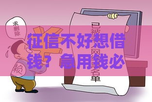 征信不好想借钱？急用钱必看的贷款避坑指南