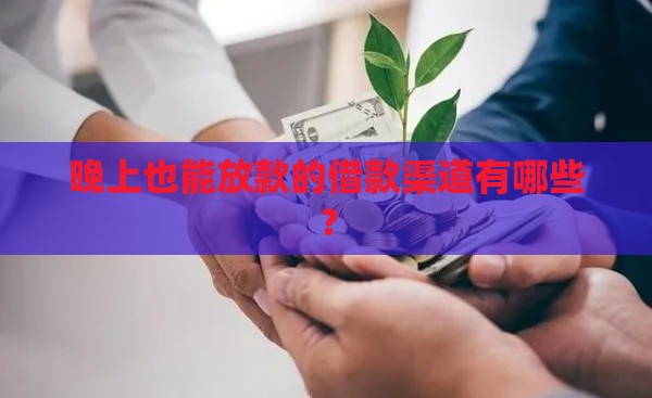 晚上也能放款的借款渠道有哪些？