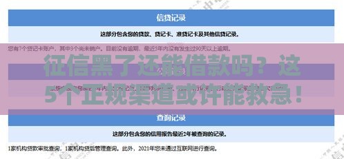 征信黑了还能借款吗？这5个正规渠道或许能救急！