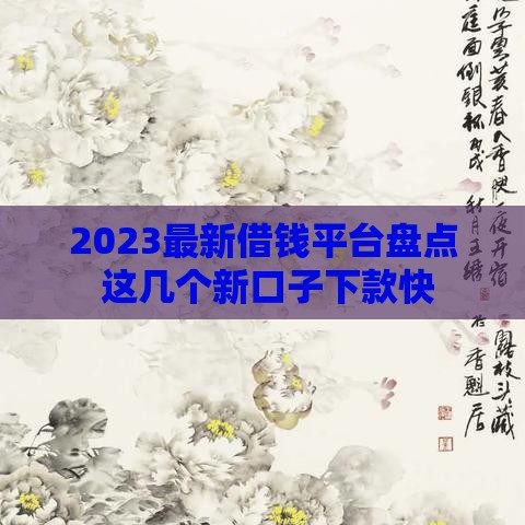 2023最新借钱平台盘点 这几个新口子下款快