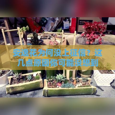 安逸花为何没上征信？这几点原因你可能没想到