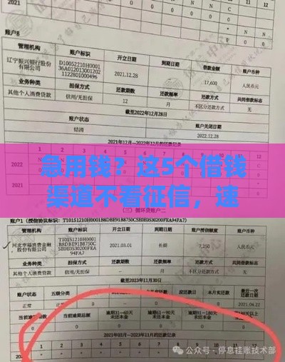 急用钱？这5个借钱渠道不看征信，速看！