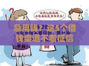 急用钱？这5个借钱渠道不看征信，速看！