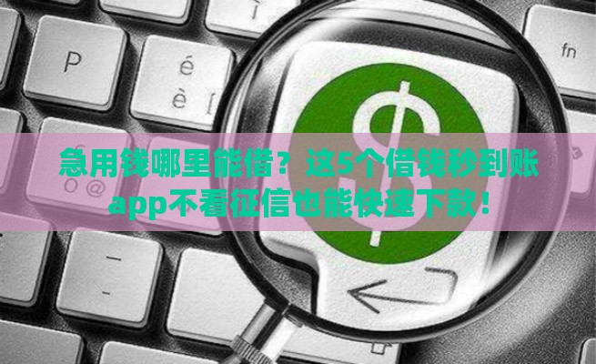 急用钱哪里能借？这5个借钱秒到账app不看征信也能快速下款！