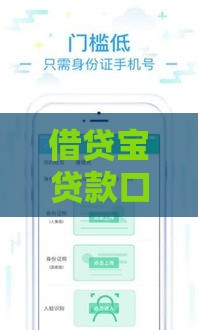 借贷宝贷款口子6实测：审核快额度高的避坑指南