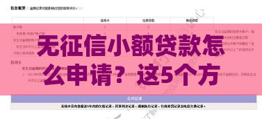 无征信小额贷款怎么申请？这5个方法助你快速到账