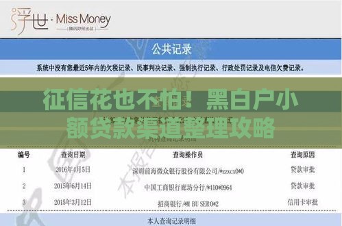 征信花也不怕！黑白户小额贷款渠道整理攻略
