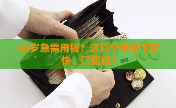 20岁急需用钱？这几个平台下款快、门槛低！