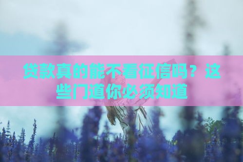 贷款真的能不看征信吗？这些门道你必须知道