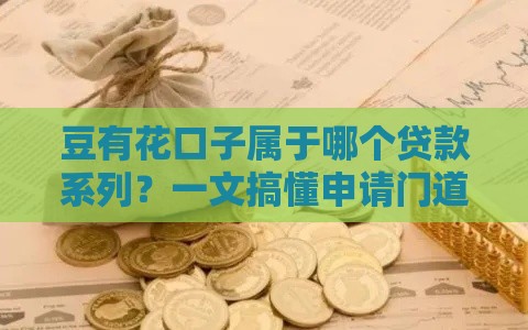 豆有花口子属于哪个贷款系列？一文搞懂申请门道