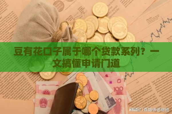 豆有花口子属于哪个贷款系列？一文搞懂申请门道